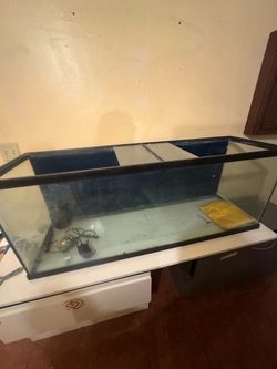 Fish tank