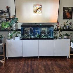 55 Gl Aqueon Fish Tank