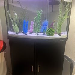 Aquarium With Stand