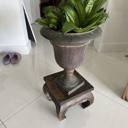 Plant With Pot