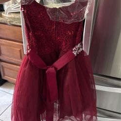 Lil Girls Dress 