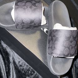 Coach Slides