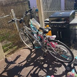 Raleigh Mountain Bike 