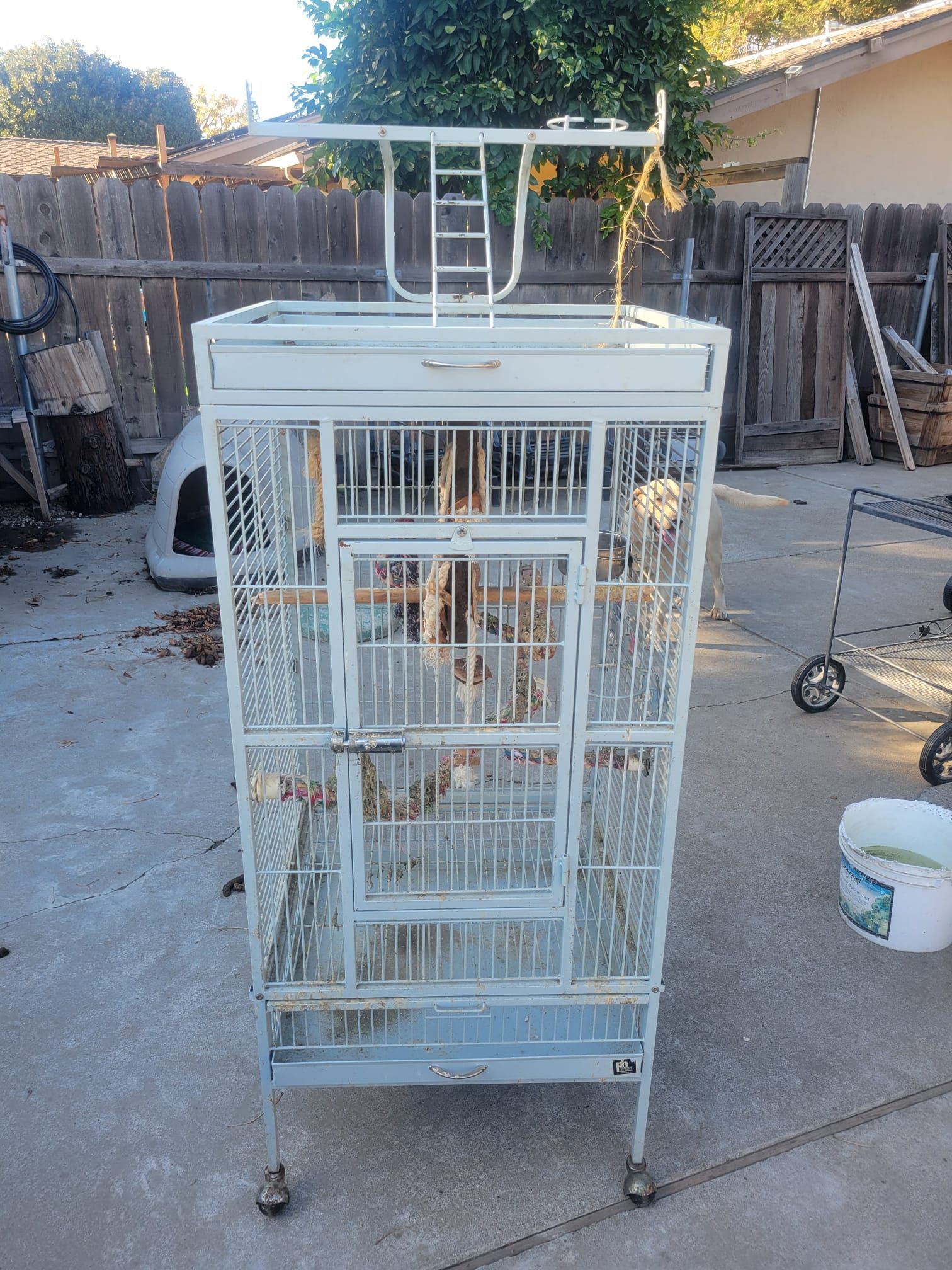 Bird Cage