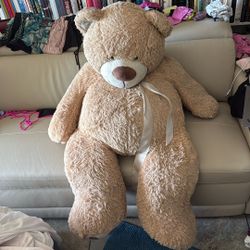 Huge Teddy Bear For Your Wife 