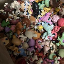 Lps collection Littlest Pet Shop lot huge