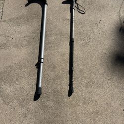 Cane & Walking Stick- Free!