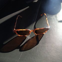 Rayban Raimond Sunglasses