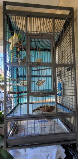 Bird Cage