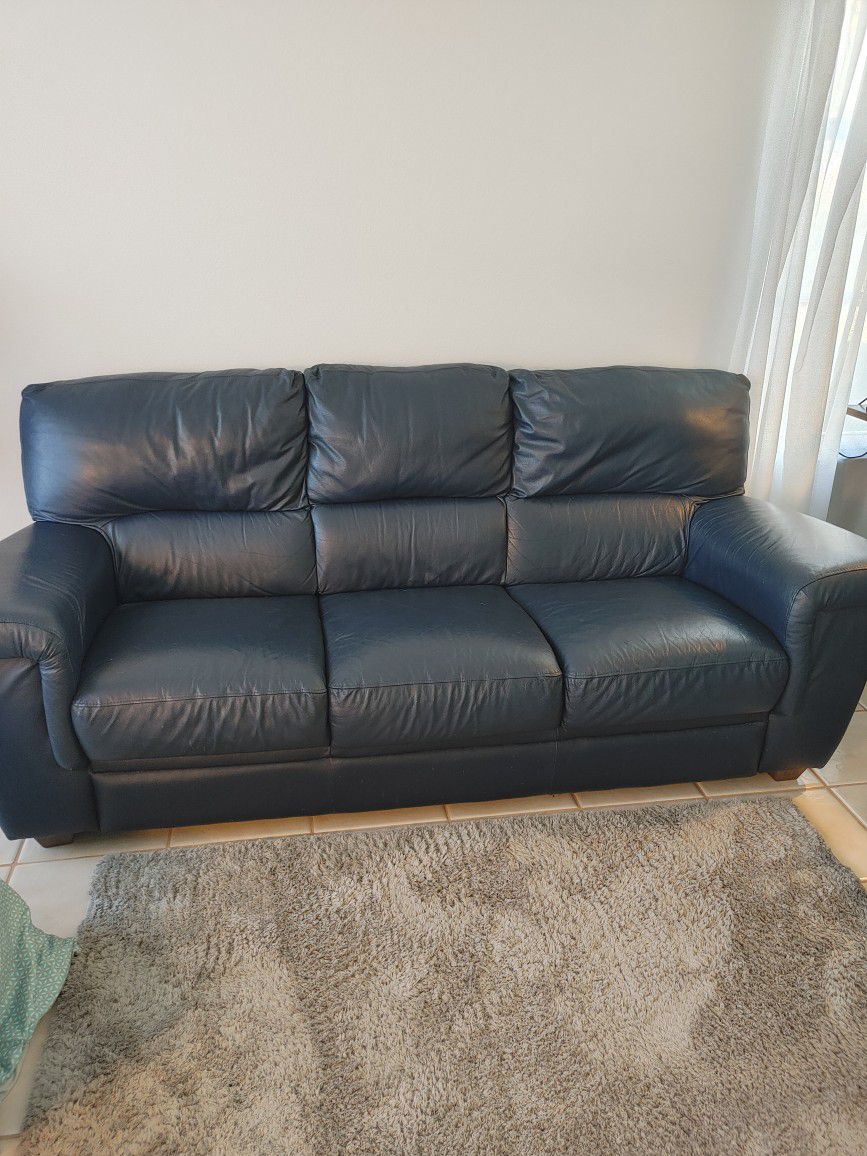 Dark Blue Leather Couches