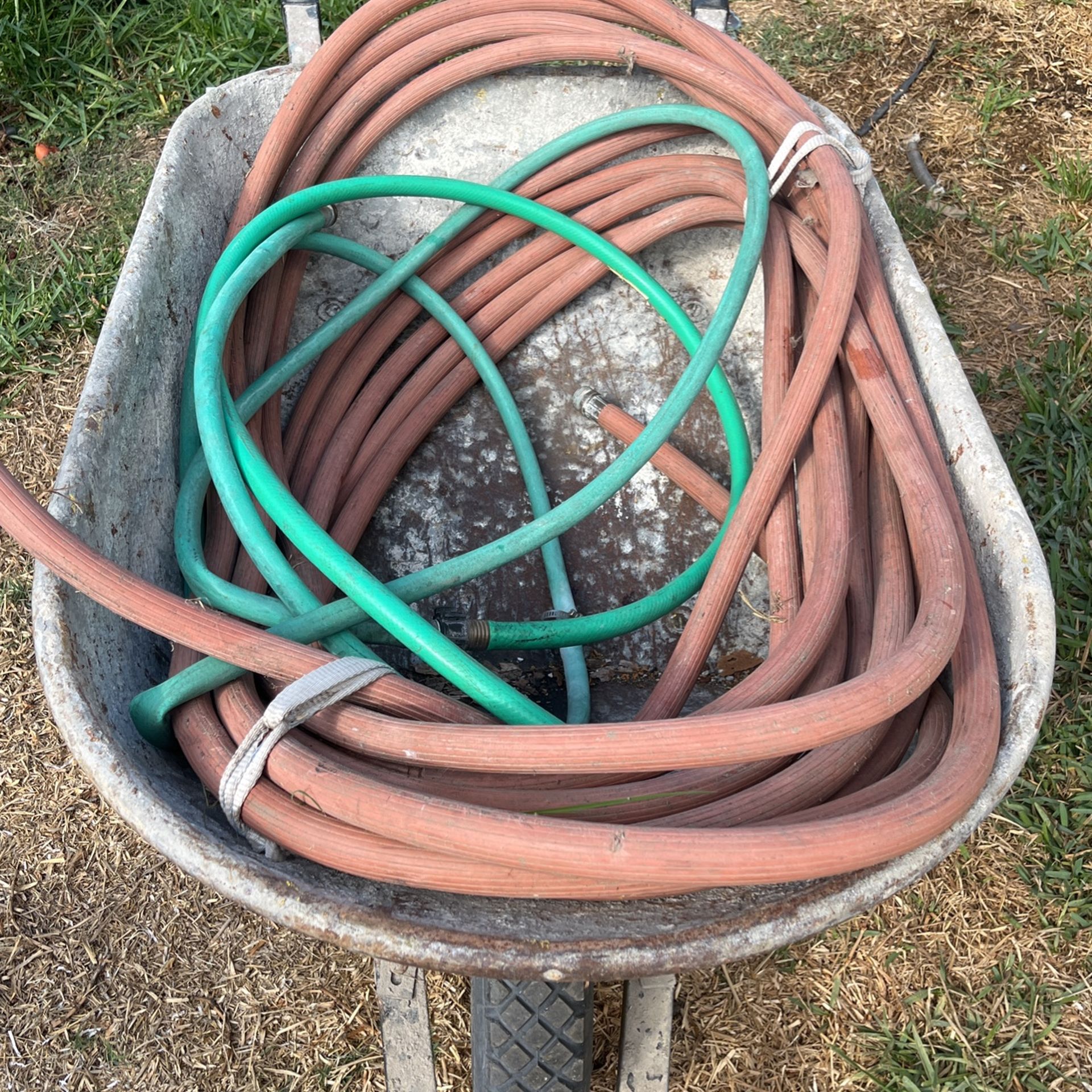 Hoses