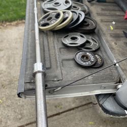 Olympic Weights And Bar 