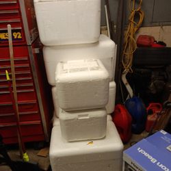 Foam Coolers