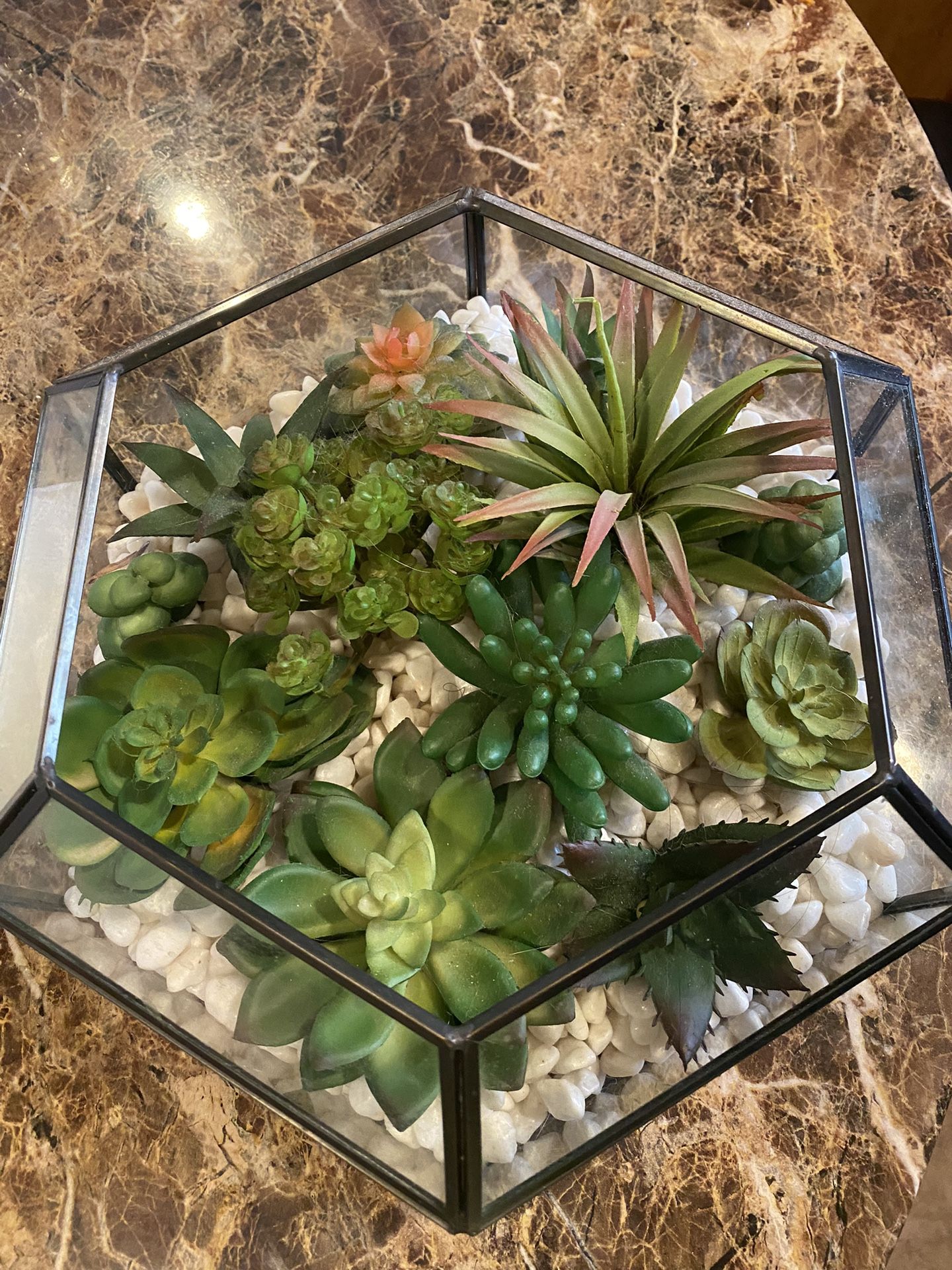 Heavy Glass With Artificial Succulents For $15