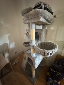 Cat tree $20
