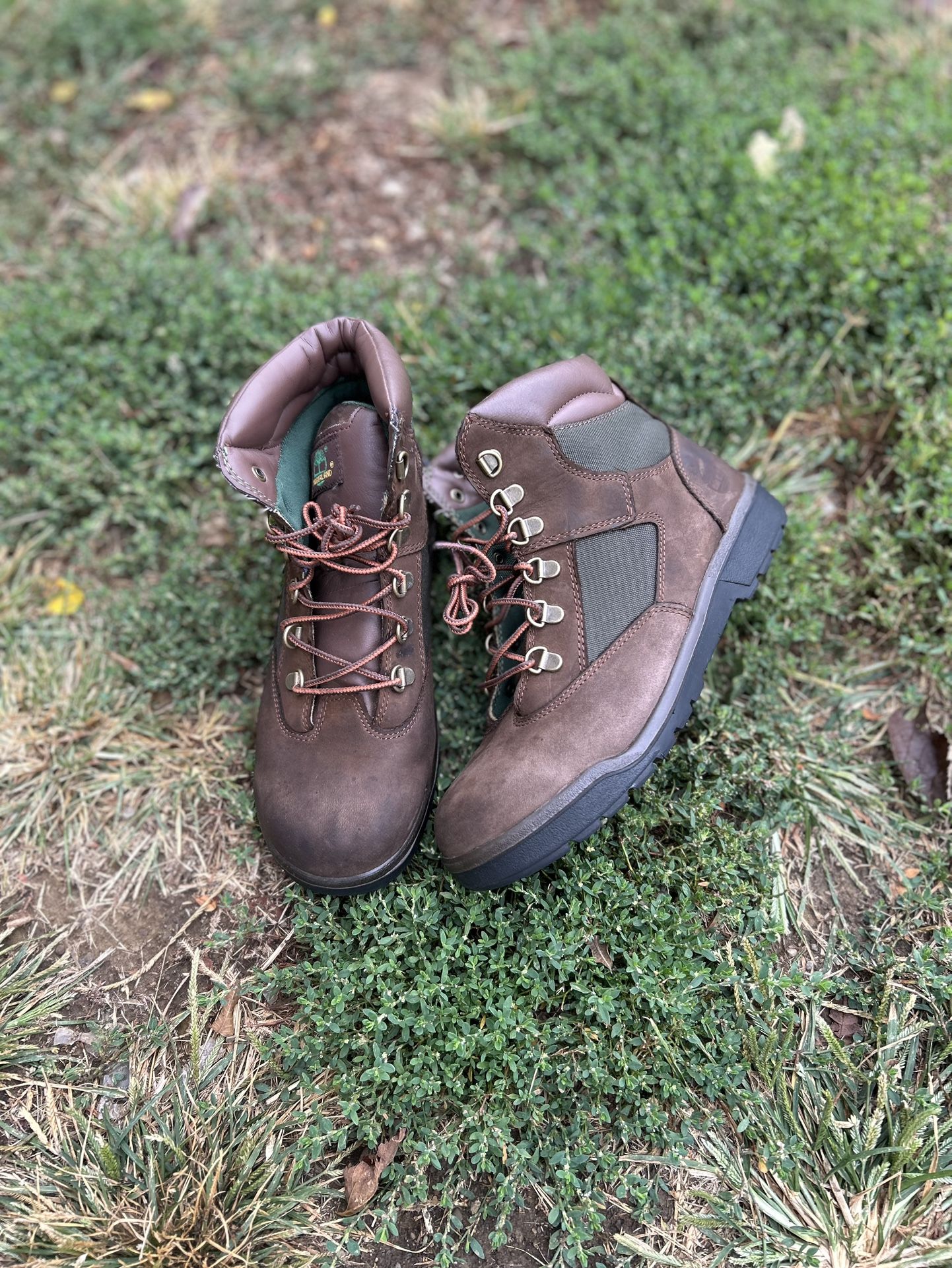 Timberland 6in 🥩 & 🥦 Size 7y