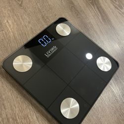 Body Weight Scale 
