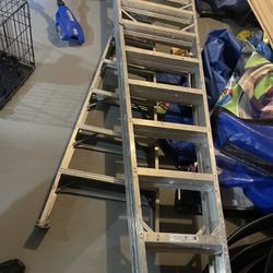 9 Foot Ladder