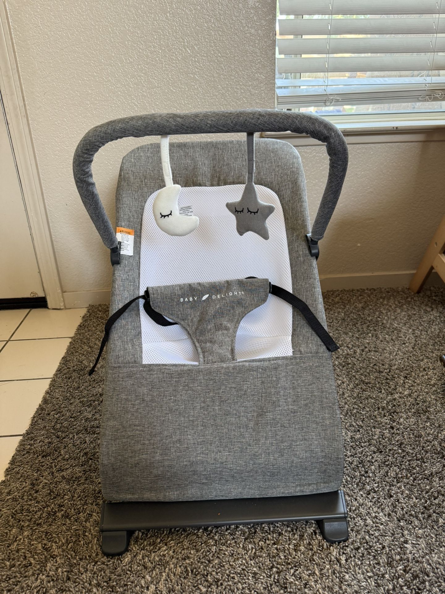 Baby Delight Bouncer 