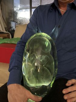 Morano Embryo