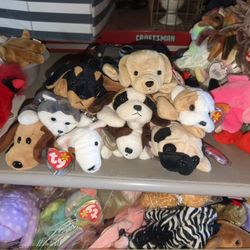 Dogs Ty Beanie Babies 