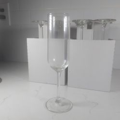 12ct HEDERLIG Champagne Glasses