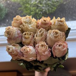 Dozen Dried  Long Stem Roses 