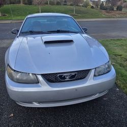 2004 Ford Mustang