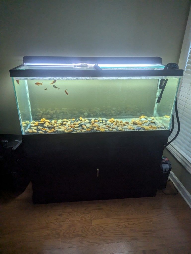 50 Gallon Fish Tank 