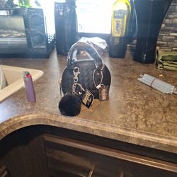 Little Purse And Furry Keychain 