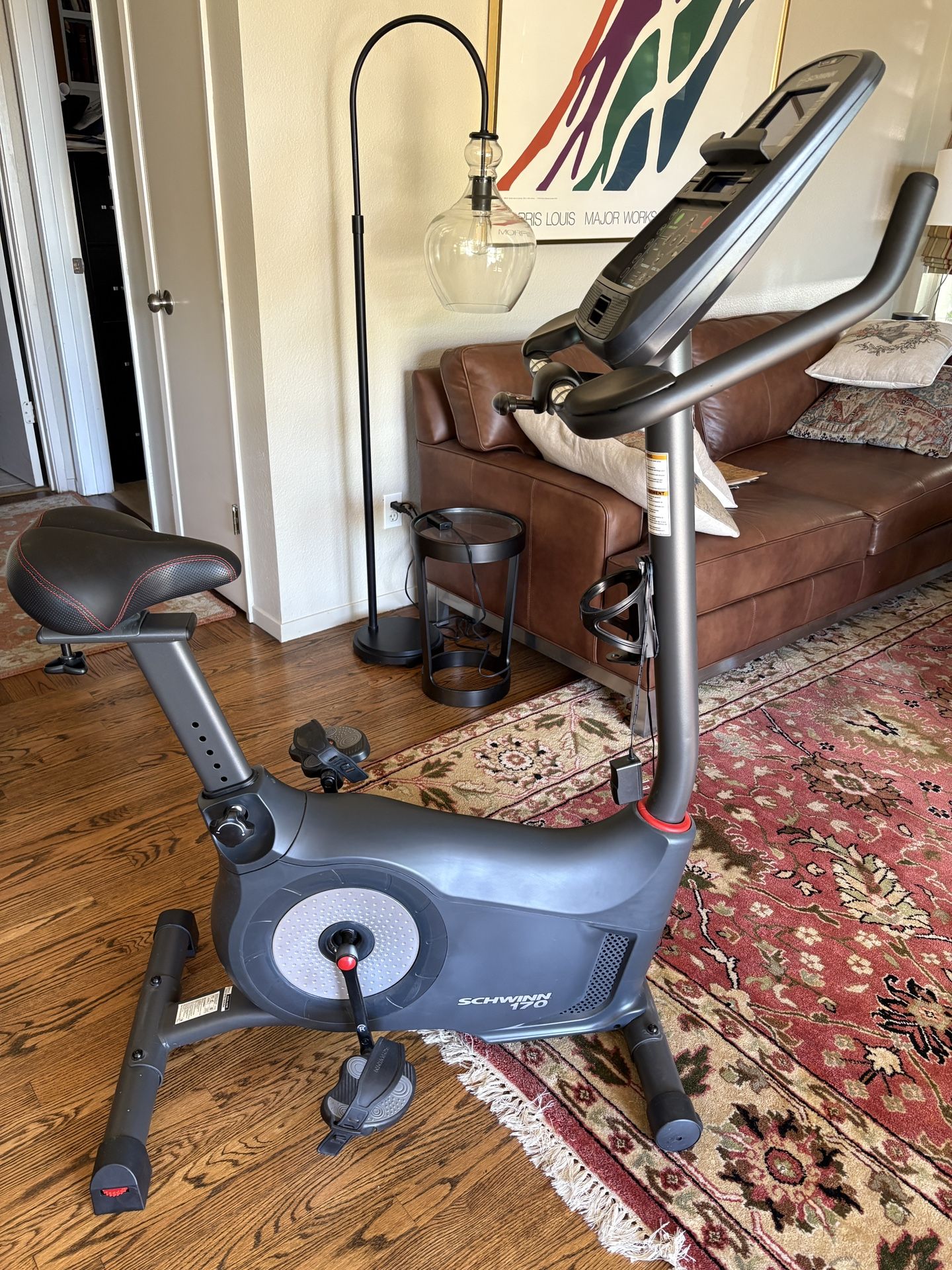 Schwinn 170 Upright Stationary Bike 