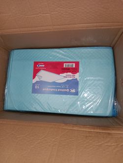 PUPPY PADS IN A BOX.