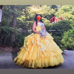 15 Quinceñeras Dress 