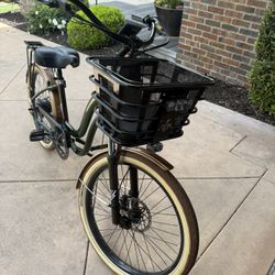 Project Beautiful Model Y Electric Bike Company Special Addition Bike