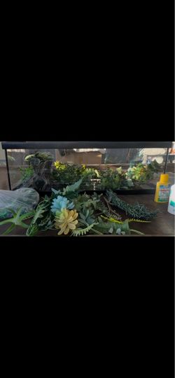 Glass Terrarium Tank with Artificial Plants and Accessories