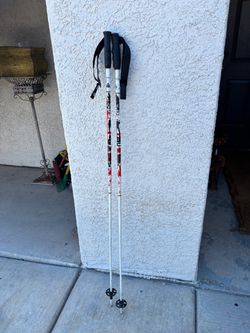 Hiking Poles