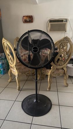 Fan