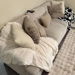 Light Cream Color Couch