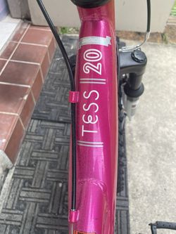 Pink Tess Bike