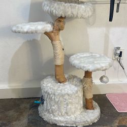 Cat Tree 