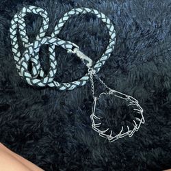 Small Prong Collar And Leash