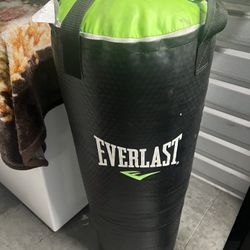 Costal De Box Everlast 70 Lbs 