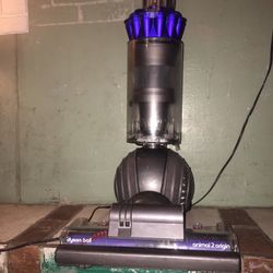 Vacuum Dyson Ball Animal 2 Origin —Will Trade For A Nice Bike