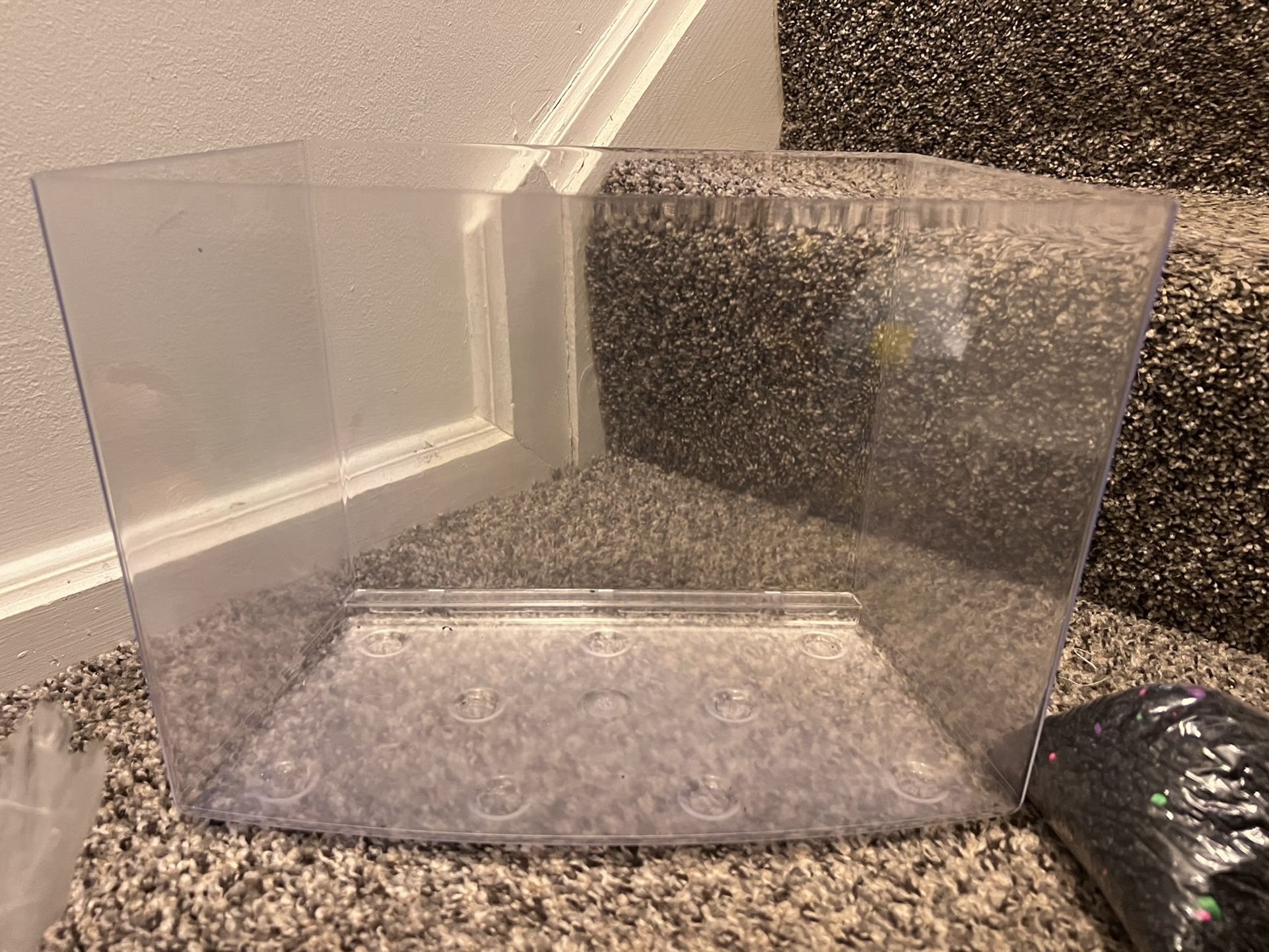 Neon Fish Tank Set