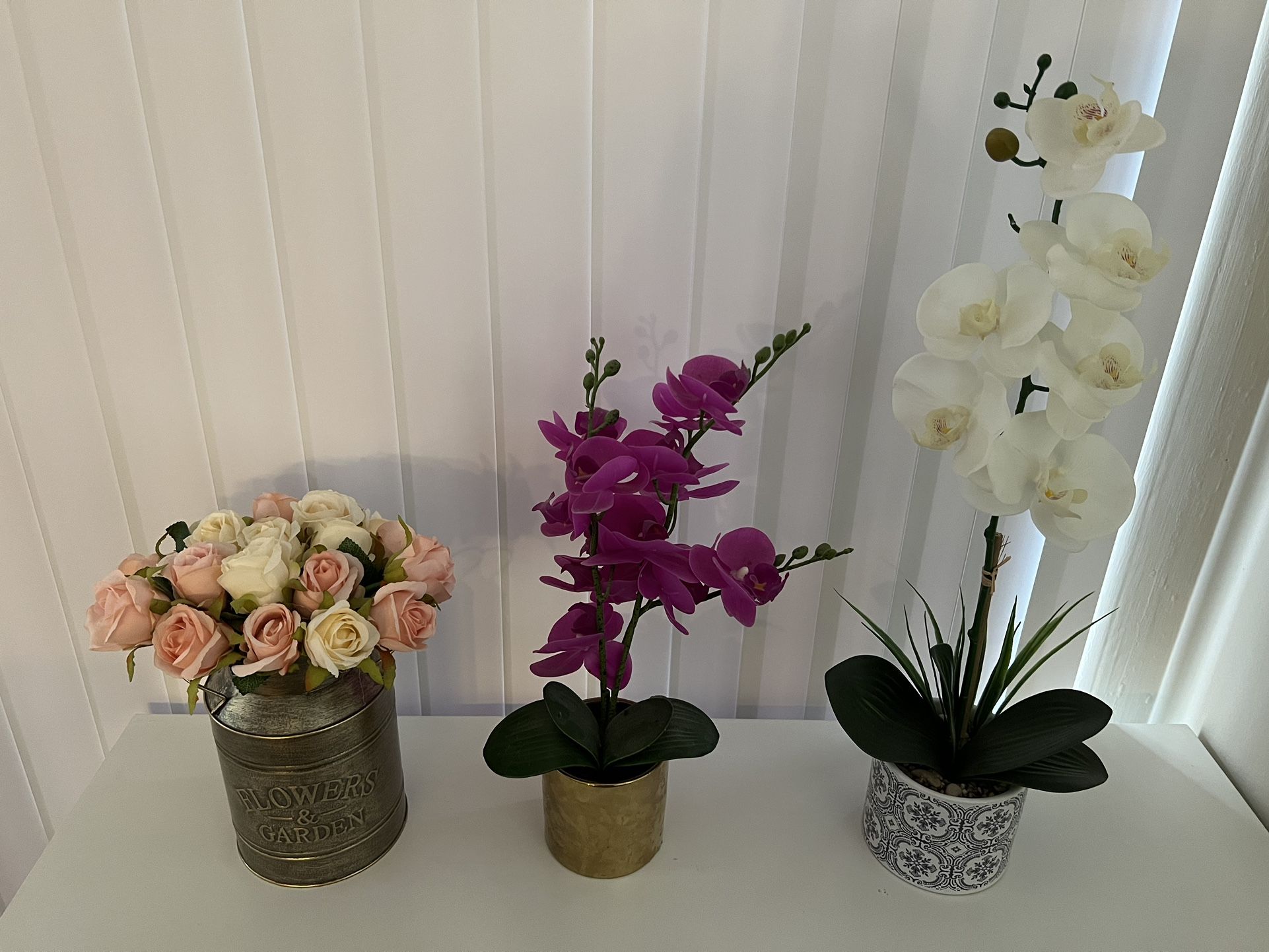 Decorative Plants