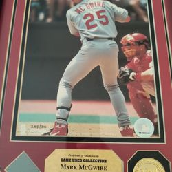 Mark McGwire 16x12 Game Used Collection BASEBALL 