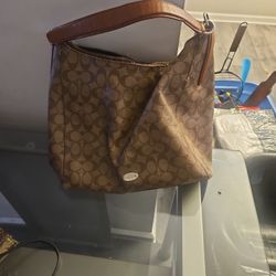 Celeste Convertible Hobo Voach Purse