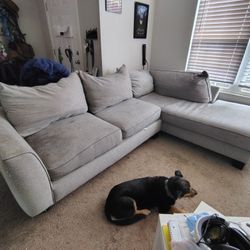 Free L-shaped Couch