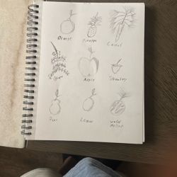 Pictures Of Fruits