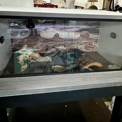 Reptile Cage + Custom Stand